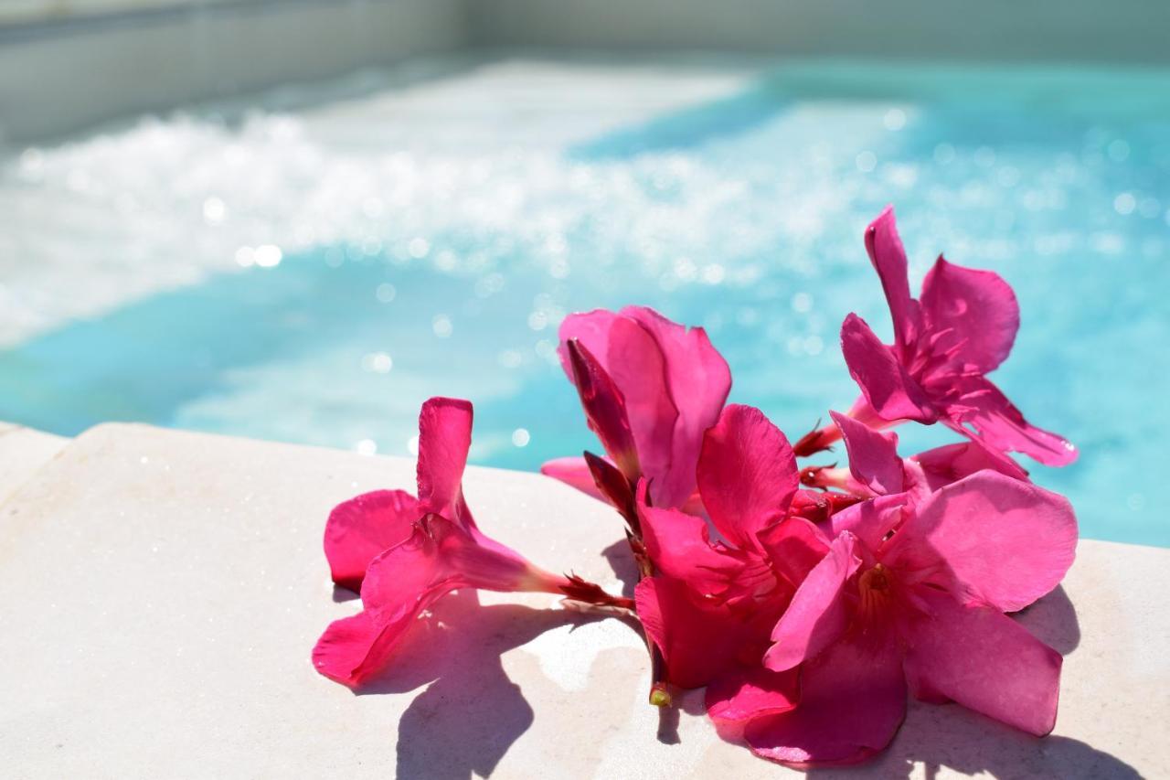 Taormina Villa Ibiscus Alcantara ガッジ エクステリア 写真